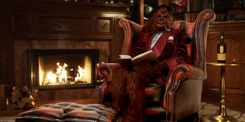 Chewbacca Poetry Hour45