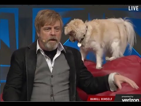 Mark Hamill and His Voice No Longer on Speaking Terms